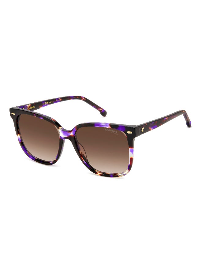 Carrera SQUARE CARRERA SUNGLASSES FRAMES - Image 1